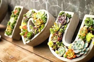 �Aͤ�(zh��n)�Fί(li��n)���Ϻ������y�T�S�_չ΢���^�GֲDIY��ӣ��D1��