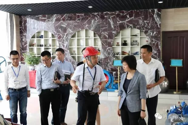 嘉定區(qū)副區(qū)長陸祖芳等領(lǐng)導(dǎo)一行蒞臨我公司視察指導(dǎo)工作(圖4)