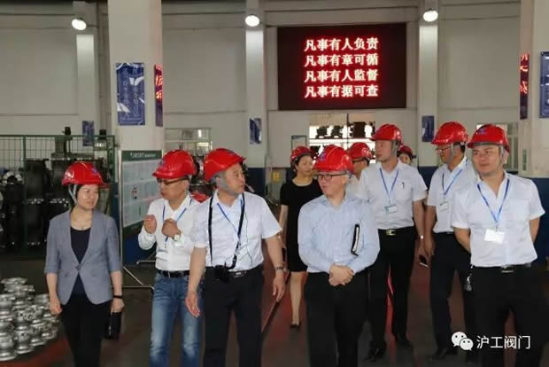 嘉定區(qū)副區(qū)長陸祖芳等領(lǐng)導(dǎo)一行蒞臨我公司視察指導(dǎo)工作(圖9)