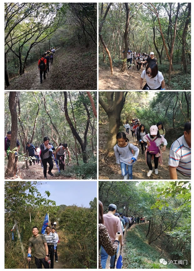 �Ϻ������y�T�S2019���＾ͽ�����л�ӣ��D4��